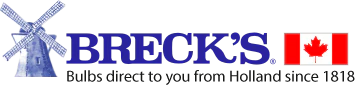 Breck's